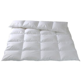 Christian Fischbacher Zermatt - Winter Kassettendecke Swiss Batist