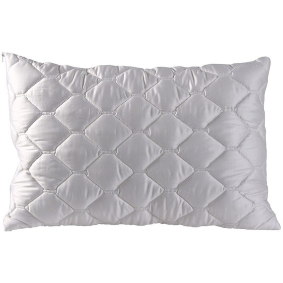 Glarus - 1-Kammer-Kissen