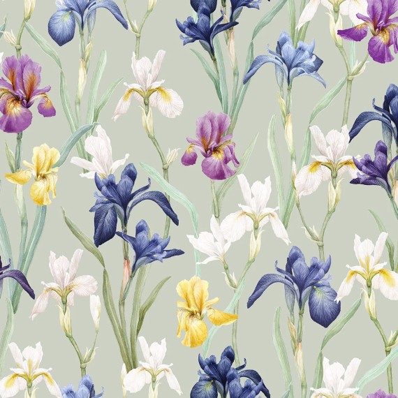 Charlotte: campo di iris in fiore su satin verde chiaro firmato Schlossberg
